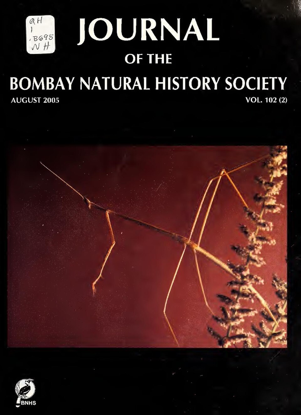 Porur (Photo: Wikimedia Commons contributors, CC BY-SA 4.0)